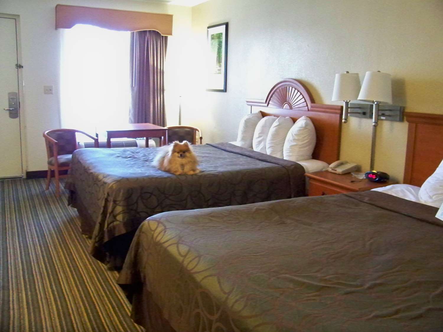 Best Western Of מרפי מראה חיצוני תמונה