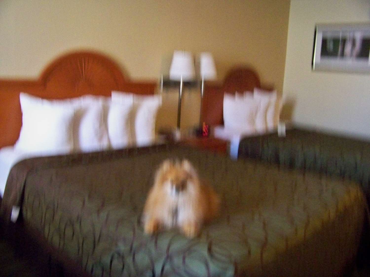 Best Western Of מרפי מראה חיצוני תמונה